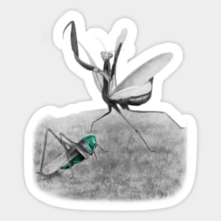 Mantis and Cricket Sticker